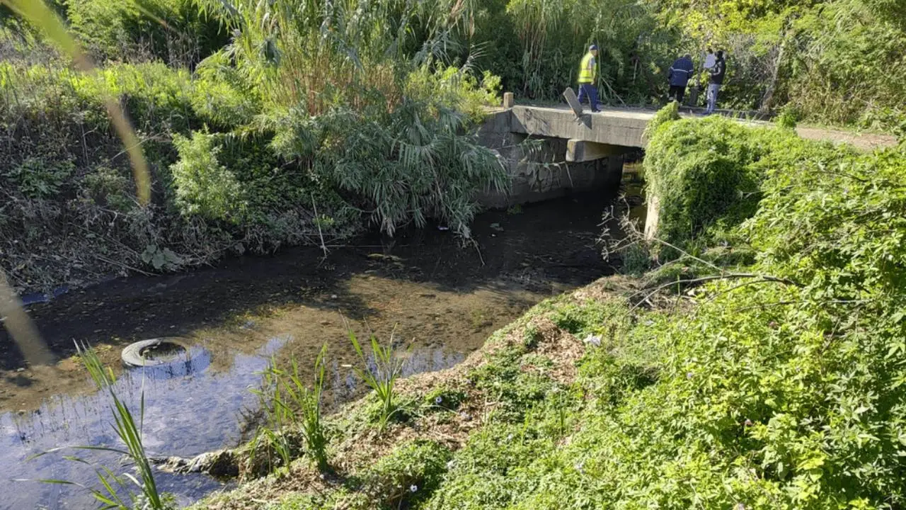 Vecinos impulsan la recuperación ecológica del arroyo Céspedes y buscan convertirlo en un refugio para la biodiversidad. Foto: Diario Anticipos.