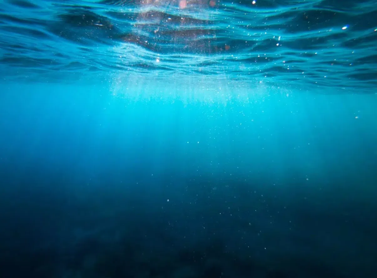carbono azul