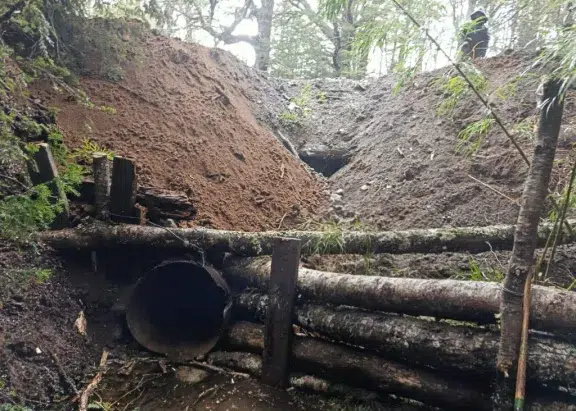 Restauran el Cruce Andino entre Argentina y Chile con obras que protegen la conectividad y el ecosistema patagónico. Foto: ANB.
