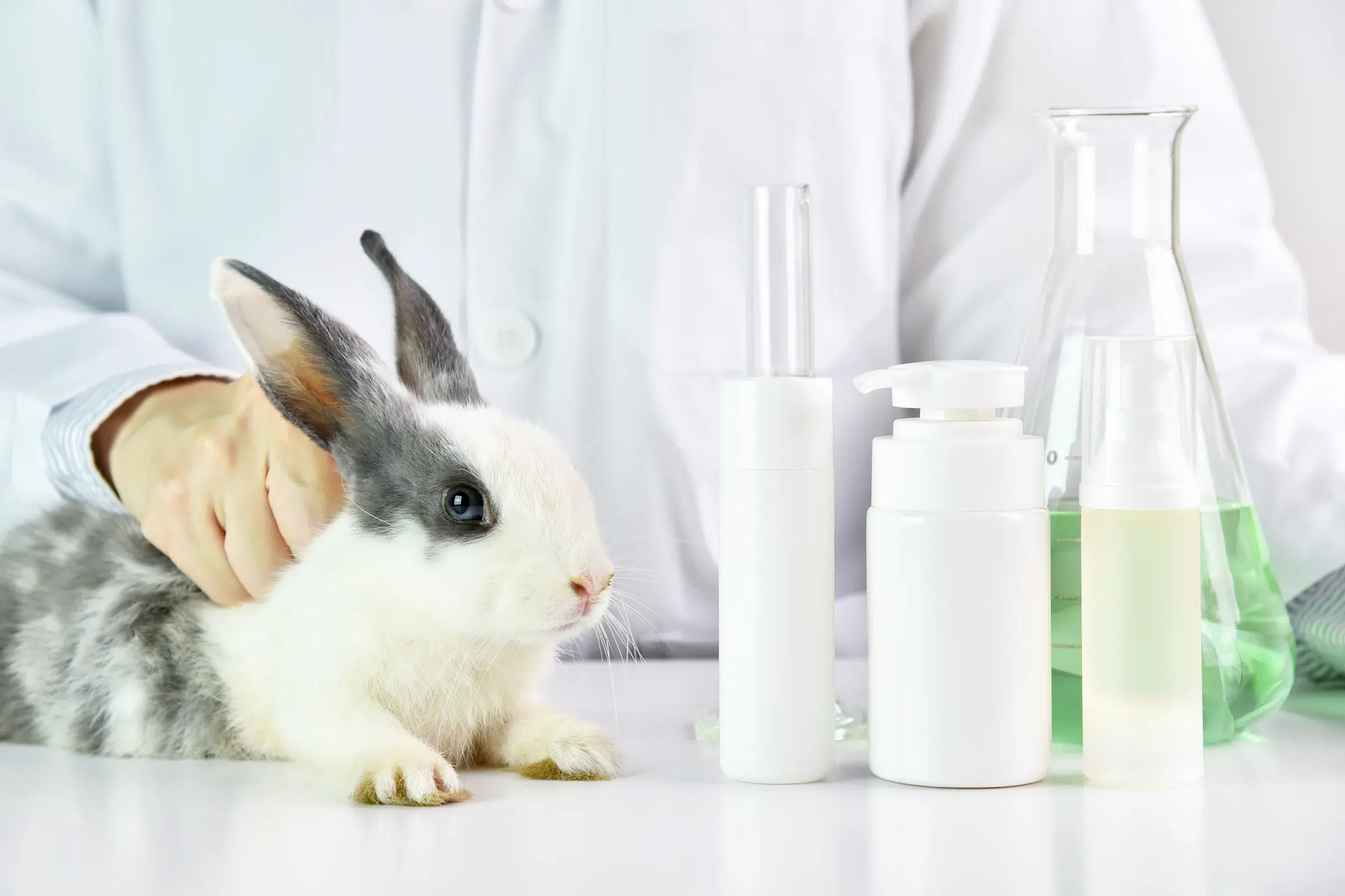 animal testing