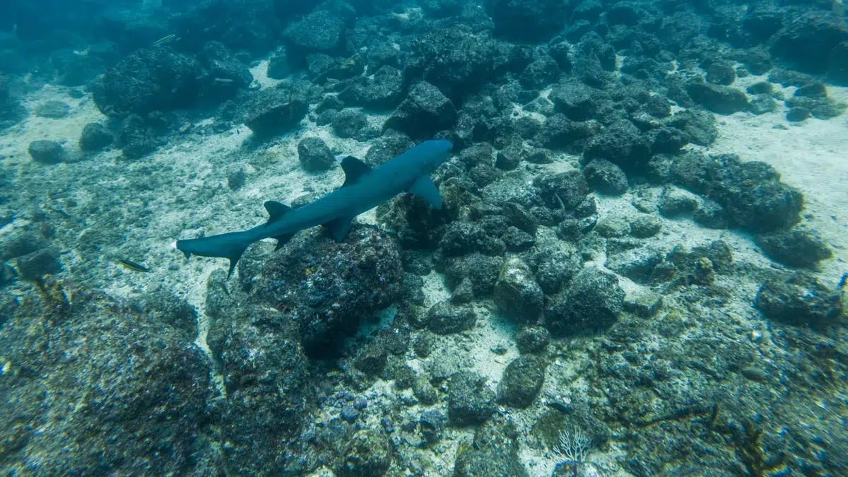 protected marine territory