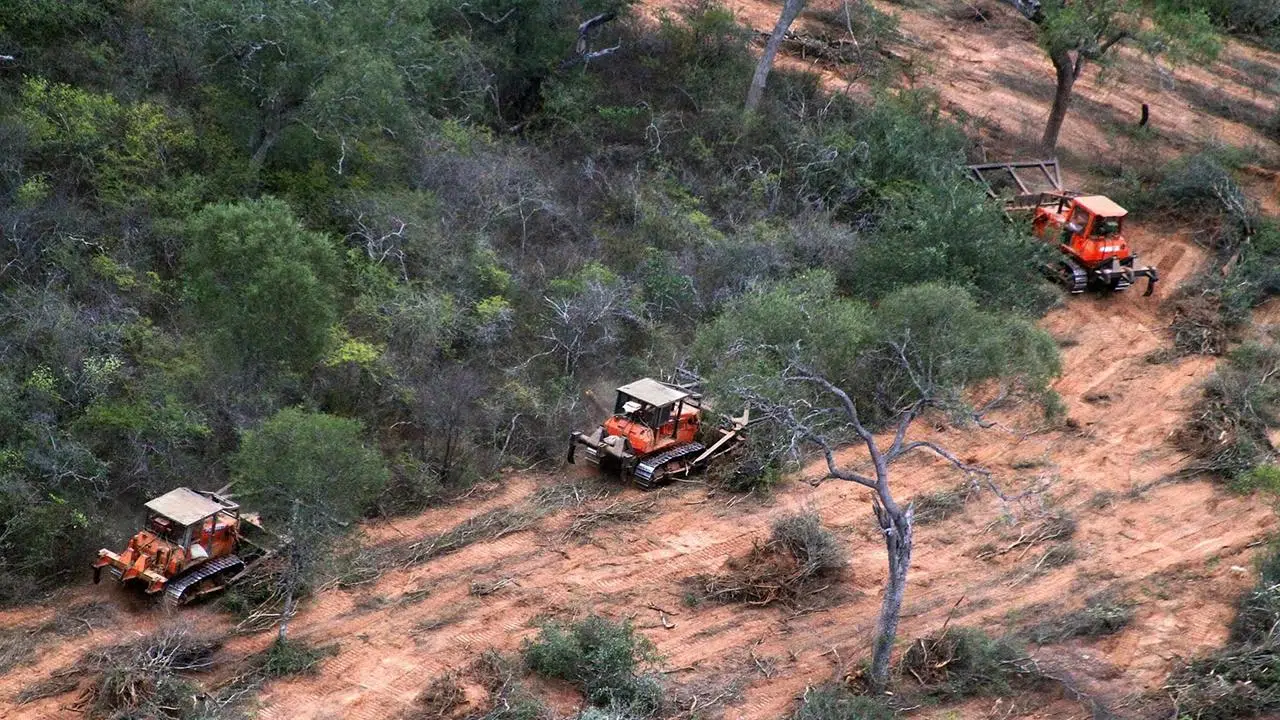 Desmonte en Salta