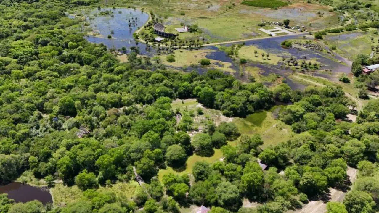 Parque Caraguatá