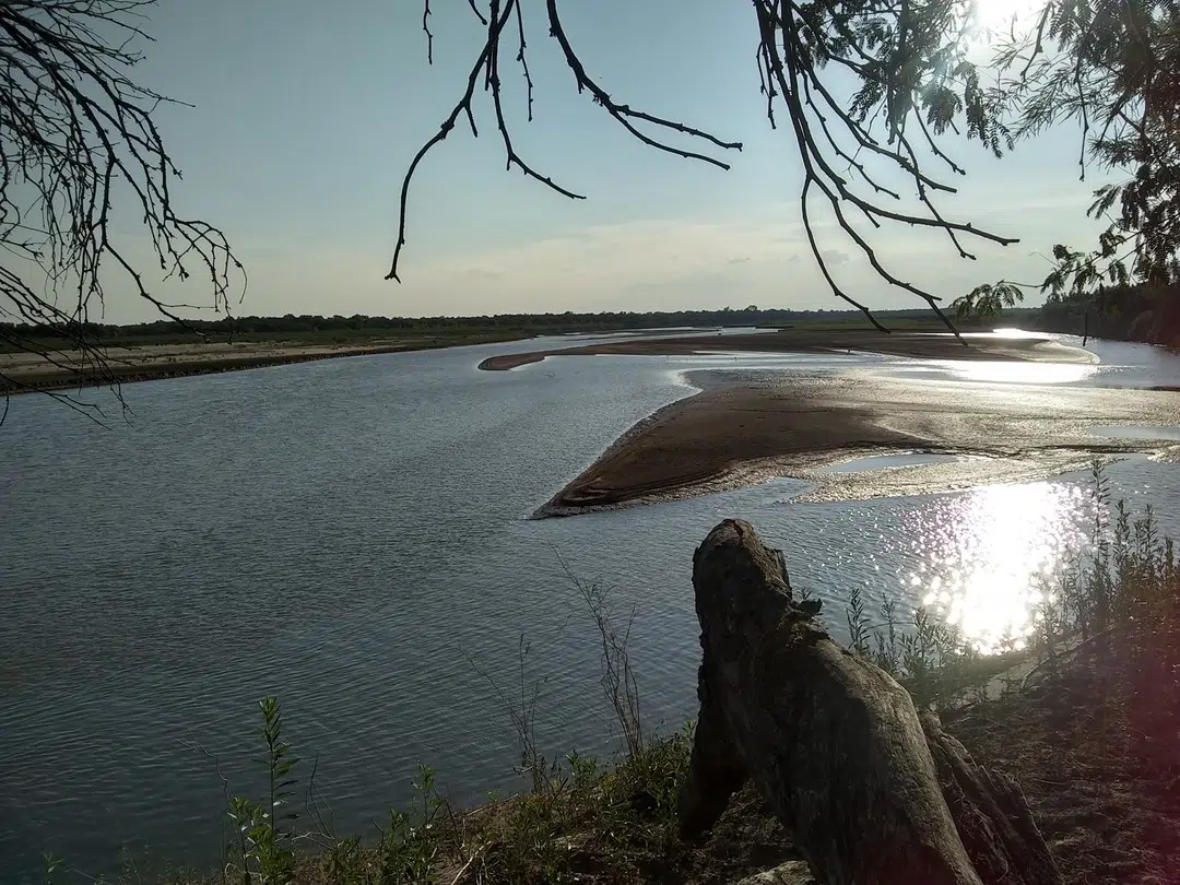 Reserva Natural Formosa: el refugio del Chaco que sorprende