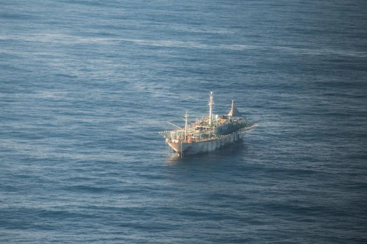 Argentine Sea: Multimillion-dollar fine imposed on Chinese vessels for illegal fishing, but depredation continues