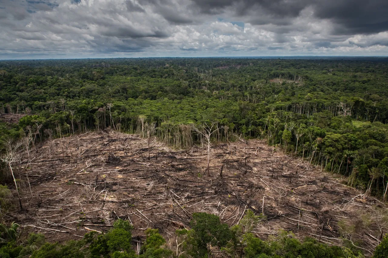 A strategic alliance: Peru integrates Air Force and artificial intelligence to curb deforestation in the Amazon