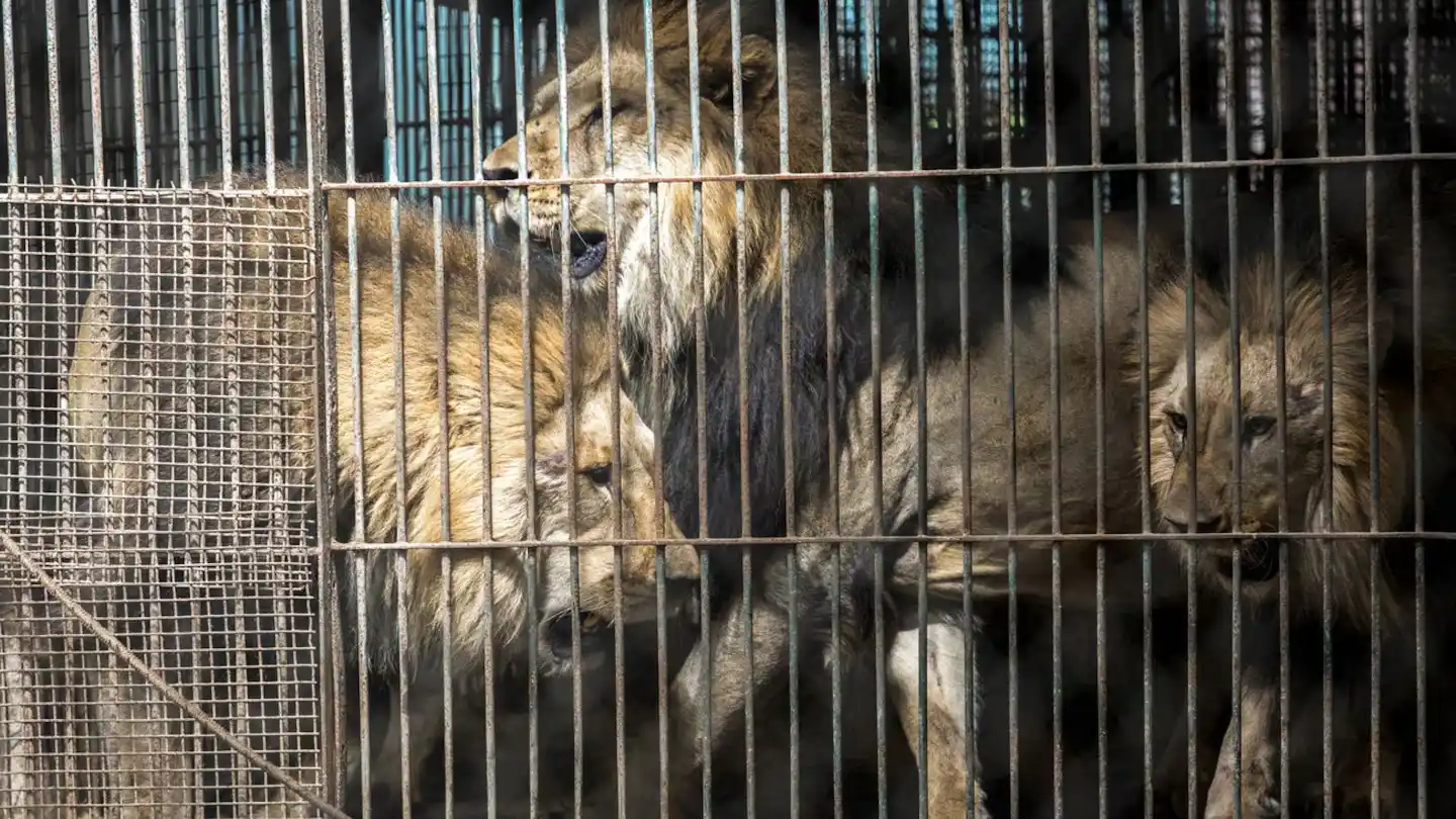 ex Zoológico de Luján