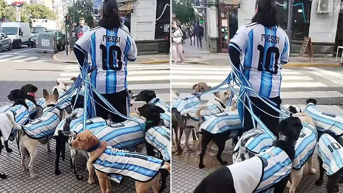 paseador de perros