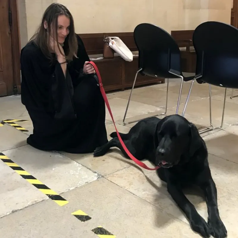cão de apoio emocional