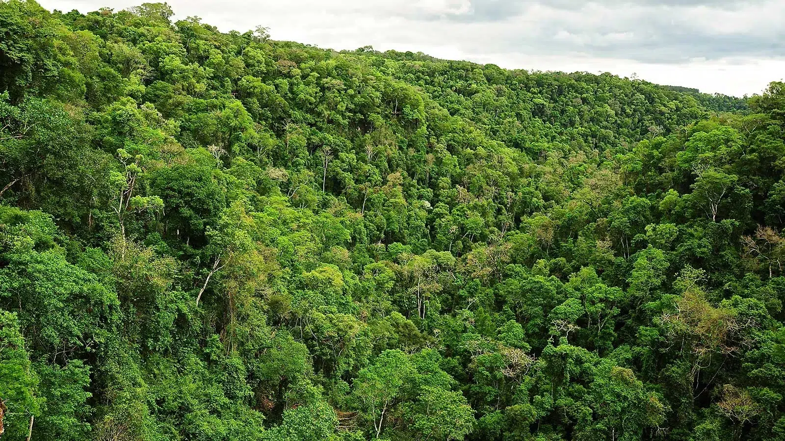 climate projects