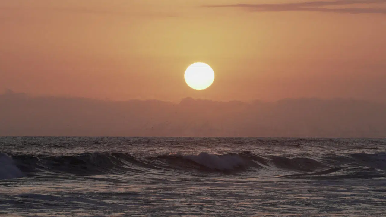 Oceans Break Record: Over 50 Consecutive Days with Extreme Sea Surface Temperatures