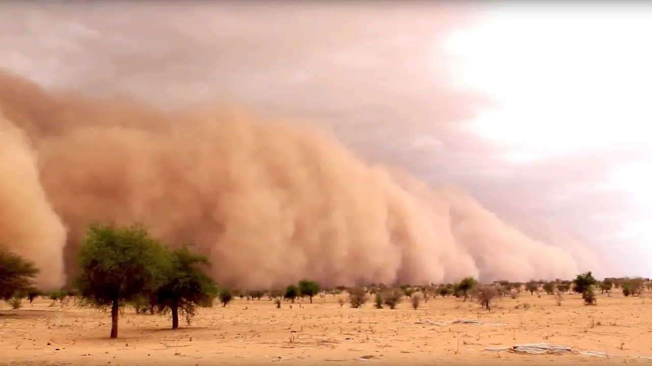 Sand and dust storms: a global phenomenon that threatens health, agriculture, and transportation