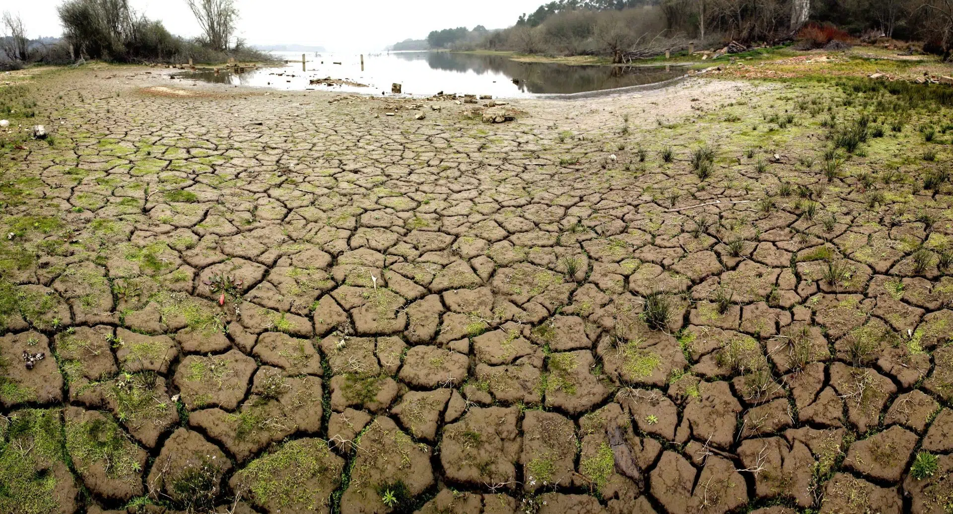 An Eco-Friendly Idea Against Drought: A Young Scientist from Florida Creates Biodegradable Spheres to Save Water