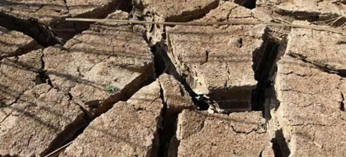 El Niño will worsen acute hunger for 49 million people