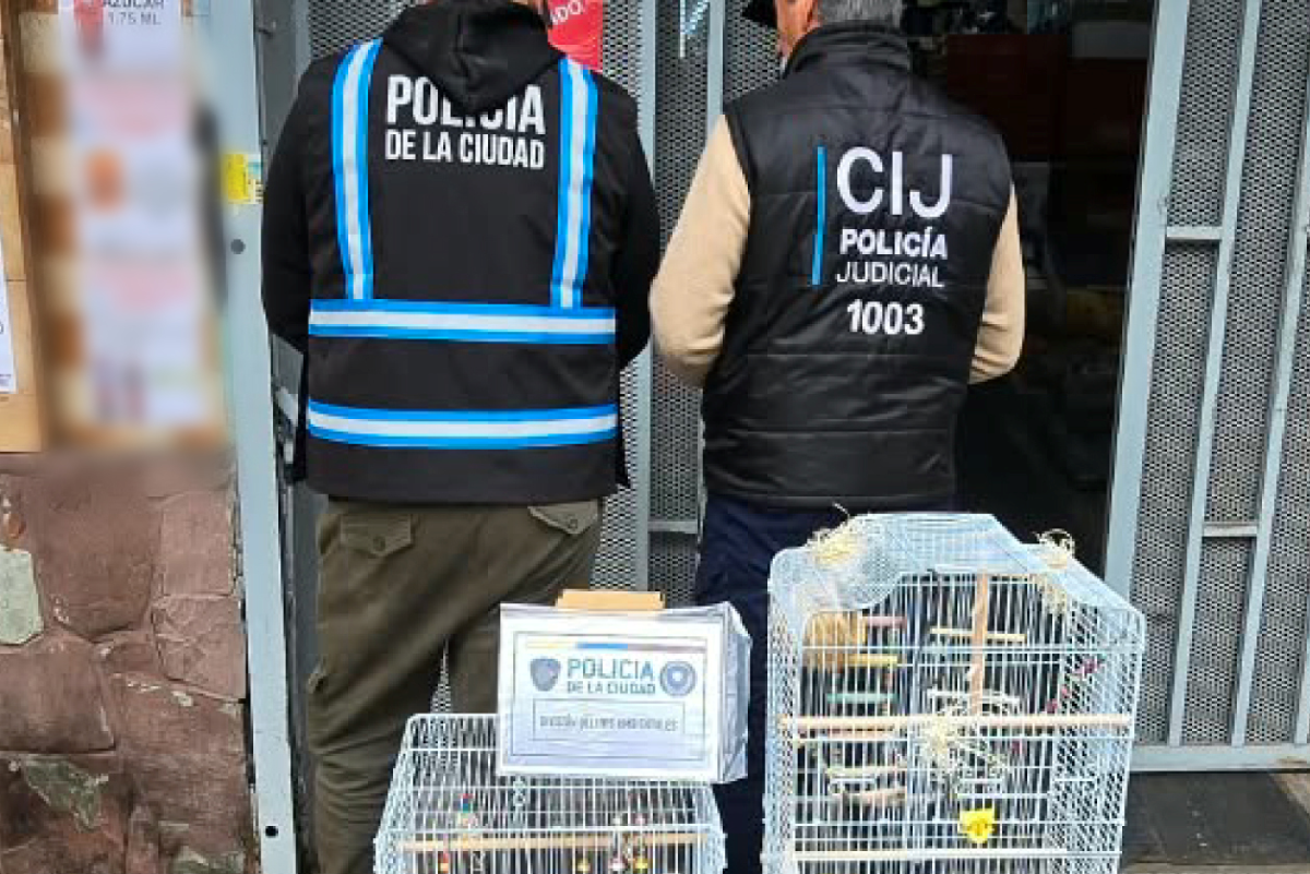 Rescatan cuatro aves enjauladas en un supermercado de Villa Urquiza y clausuran el comercio por maltrato animal