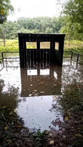 El Niño: Parques Nacionales activa el Plan de Trabajo ENOS 2026-2027 en 18 áreas protegidas ante posibles inundaciones. Foto: Argentina.gob.