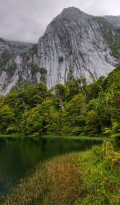 Proyecto Lahuan: una iniciativa científica que busca proteger los milenarios bosques de alerce en la Patagonia. Foto: Nacional Nahuel Huapi.