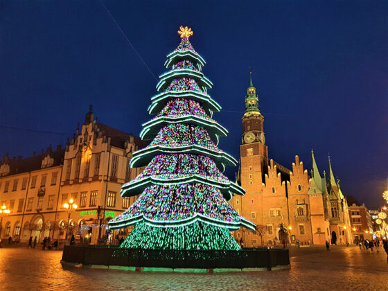 Weihnachtsgrüße vom Europa Forum