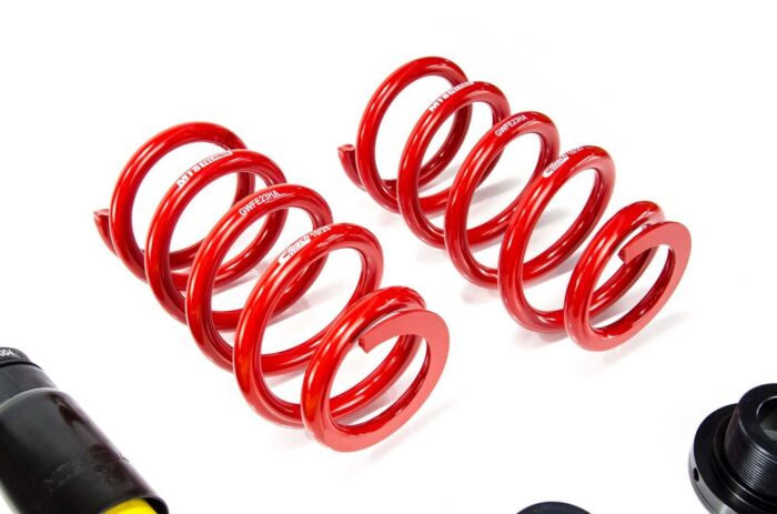 Kit Assetto Regolabile MTS Technik Street - Inox - XMTSGWAU22 - immagine 5