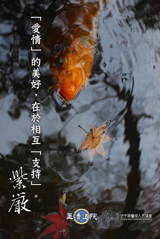 【感情發生爭執】
