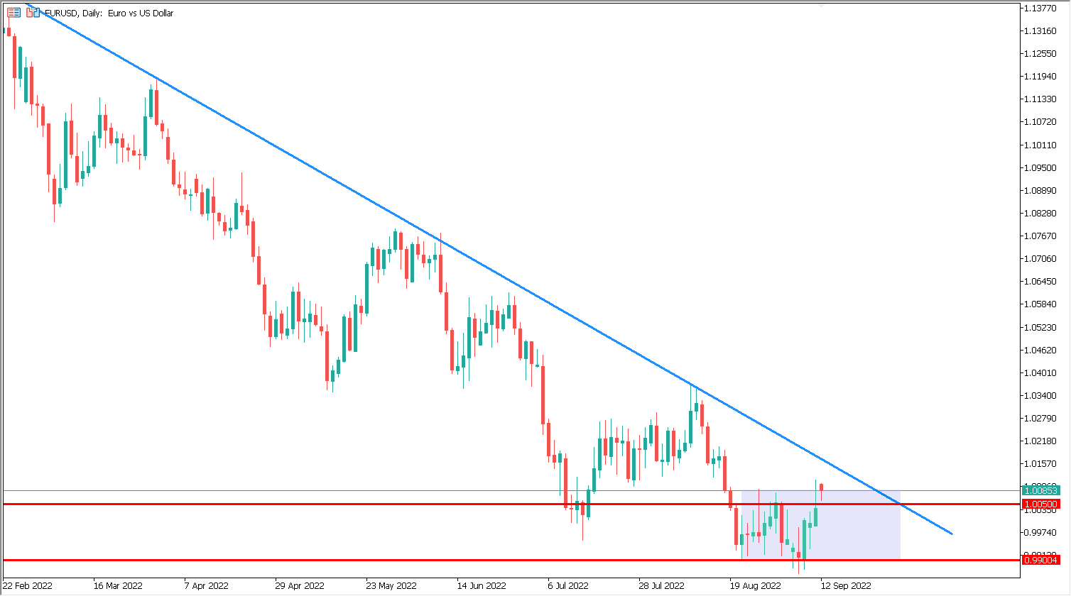 notowania euro forex