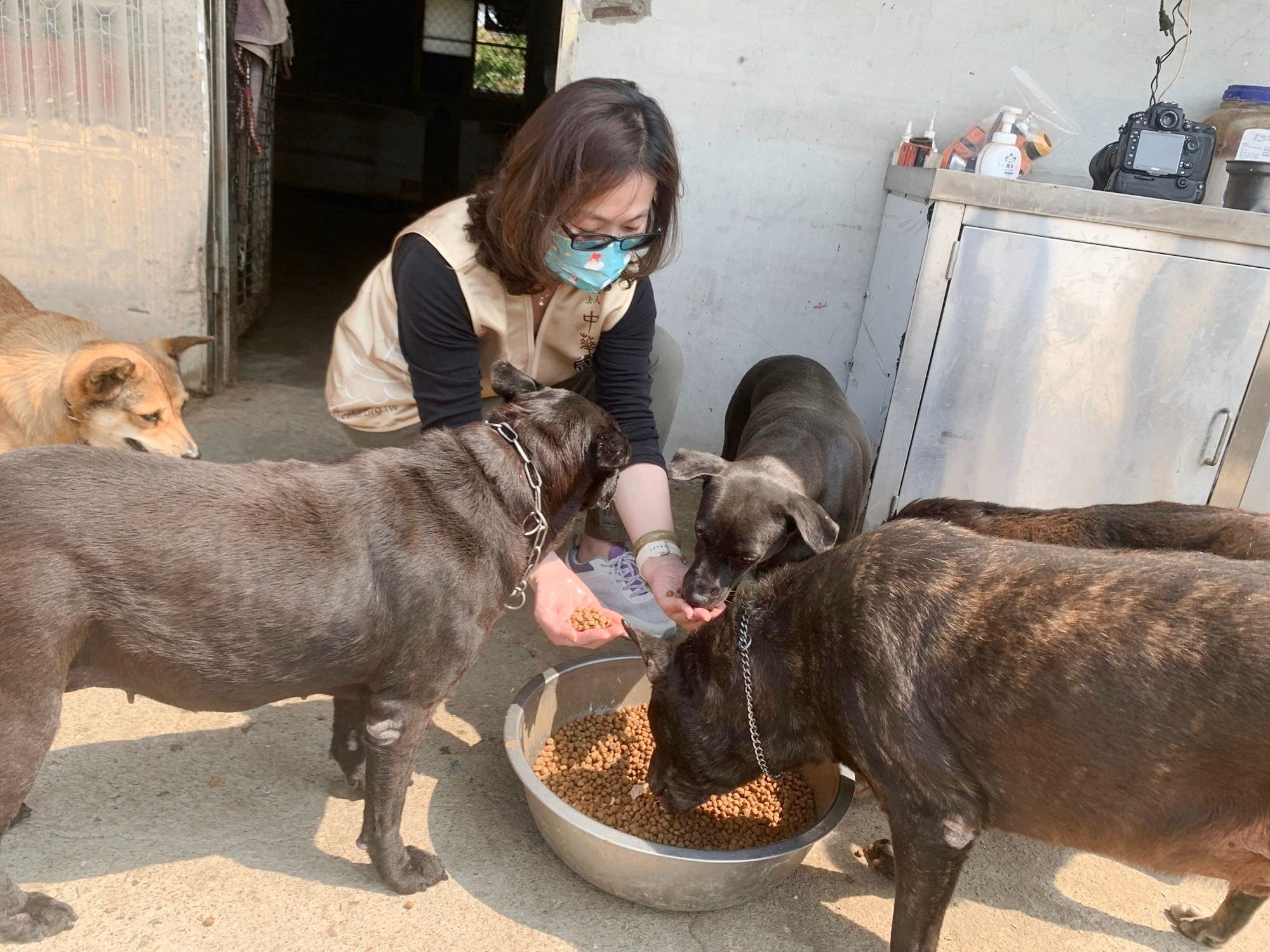 「浪愛飽食.助糧送暖」 台南市馬媽媽狗園飼料捐贈活動
