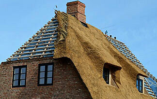 Reet Eindeckungen sind teuer Bild: Dacheindeckung mit Reet