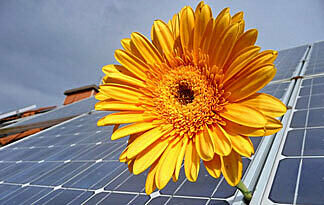 Schonen Sie Ihre Umwelt mit einer Photovoltaik-Anlage Bild: PV-Anlage und Sonnenblume