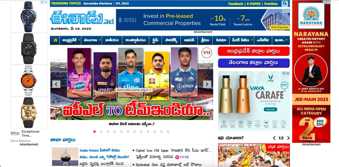 Website screenshot of Eenadu