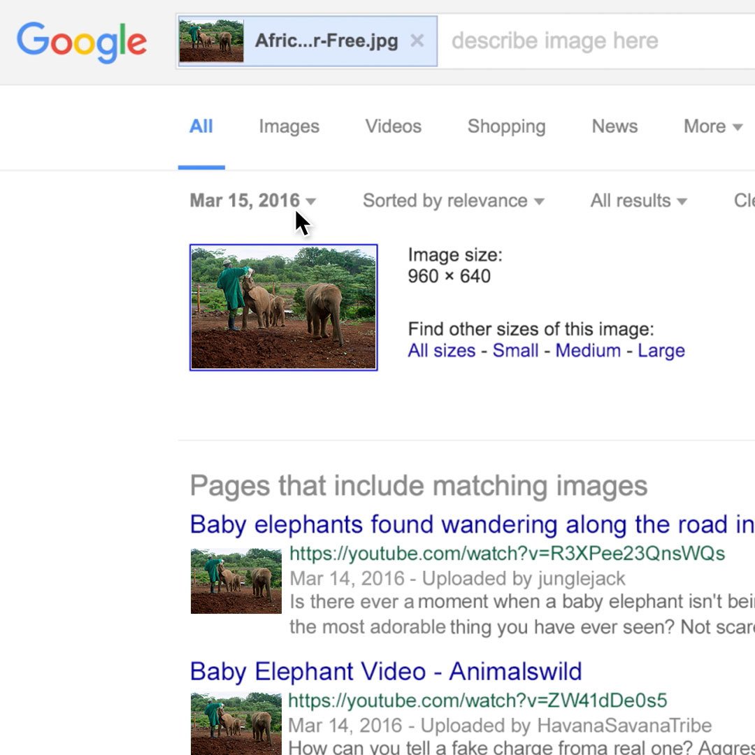 Reverse Image Search: Verifying photos. - Google News Initiative