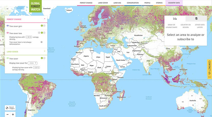 We Lost a Football Pitch of Primary Rainforest Every Six Seconds in 2019 -  Impakter