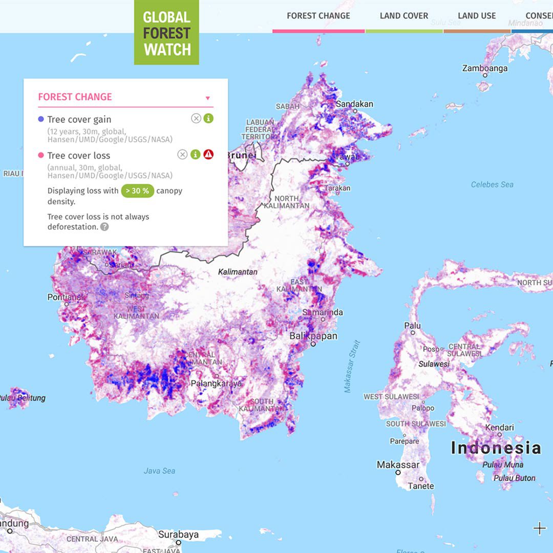 GLAD Forest Products Highlighted by CEOS for the UNFCCC Global Stocktake |  GEOG | Geographical Sciences Department | University of Maryland