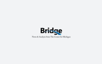 Bridge News Logo