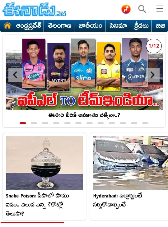 Website screenshot of Eenadu