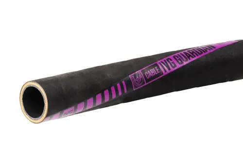 8b90fa2f iv guardian 038 03