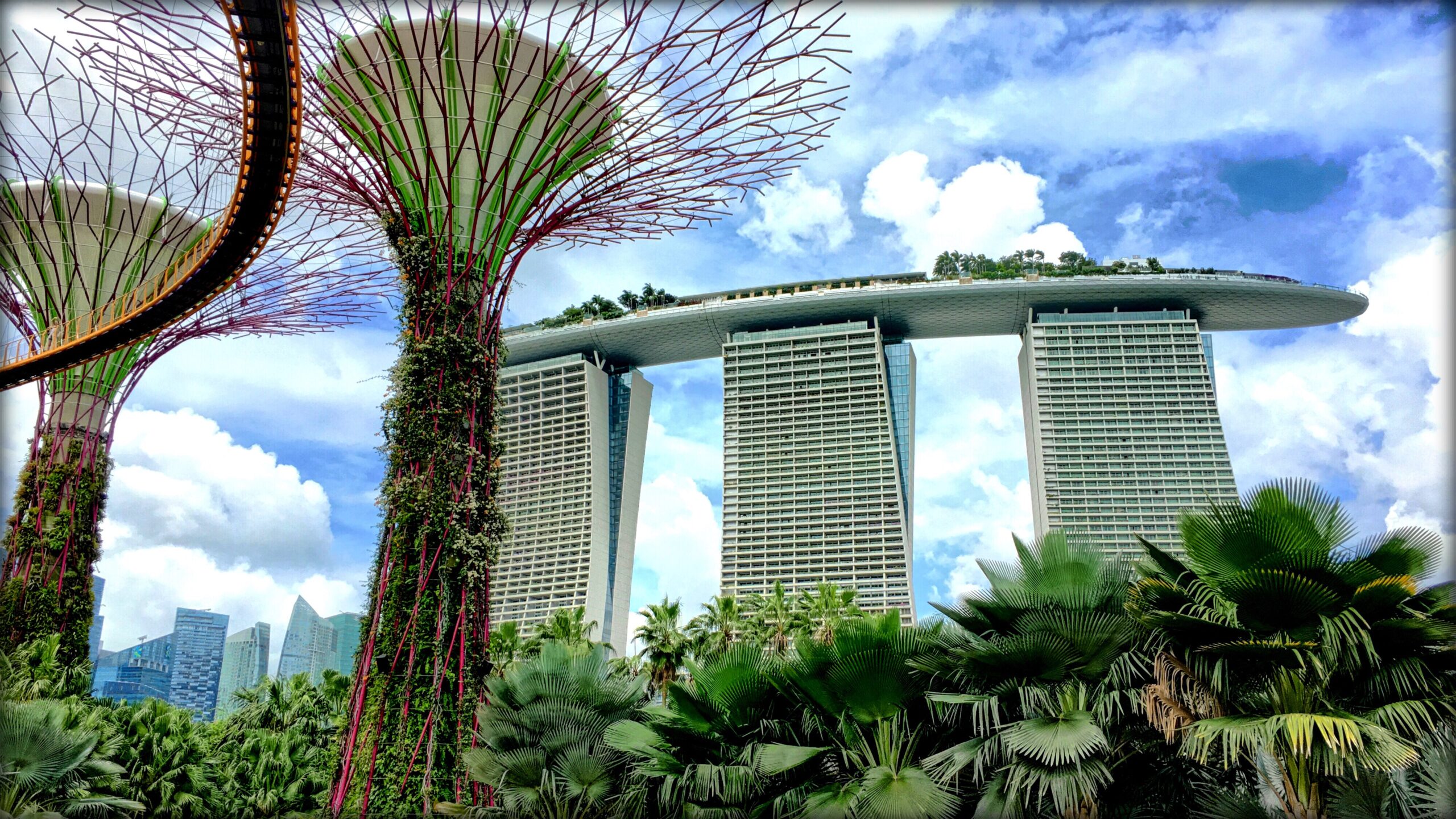 This Looks Straight Out Of A Video Game Gardens By The Bay