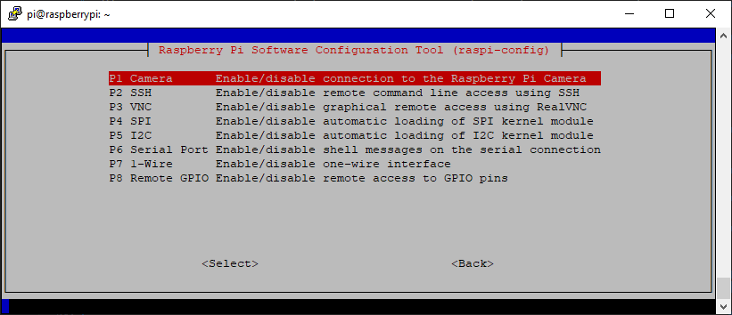 rpi_config_camera