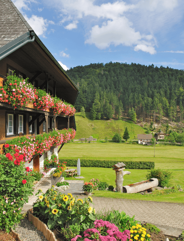  Hotelgutschein für den Schwarzwald