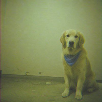 Creepy Liminal Art Style pet portrait example