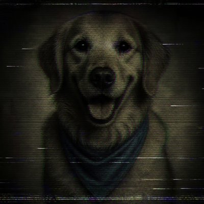 Analog Horror Aesthetic pet portrait example