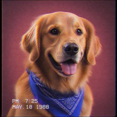 VHS Aesthetic pet portrait example