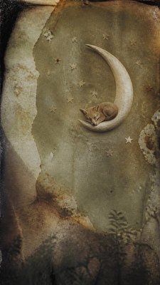 Land/Environmental Conceptual Art Style baby announcement example