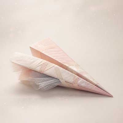 Balletcore Aesthetic icon example