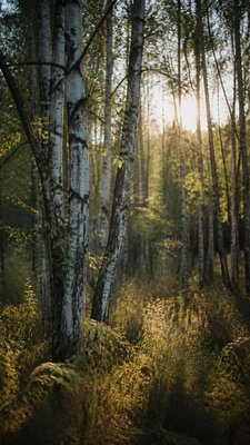 Photographic Realism Art Style wall art print example