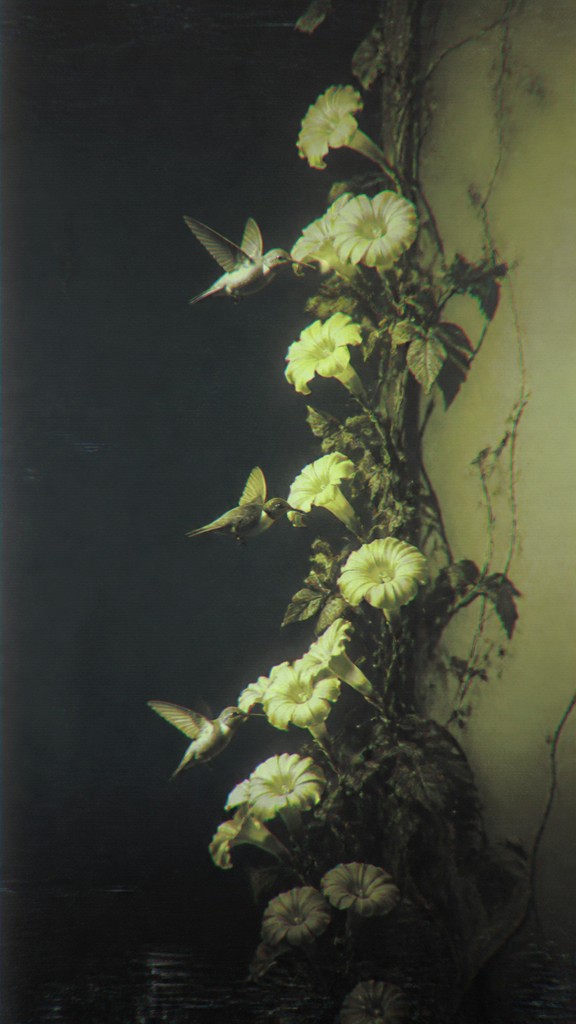 a climbing vine of flowers and hummingbirds on a dark background, tall wrapping composition, no text — Creepy Liminal Art Style phone case design