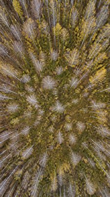 Aerial Drone Photography Style wall art print example