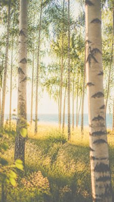 VSCO Aesthetic wall art print example