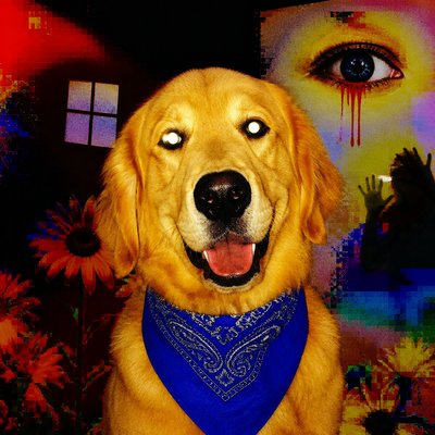 Weirdcore Aesthetic pet portrait example