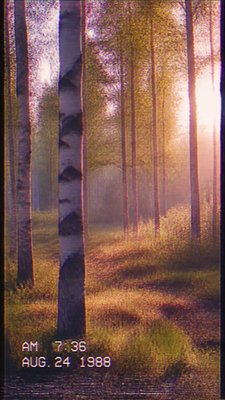 VHS Aesthetic wall art print example