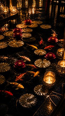 a koi pond with lily pads seen from above, no people — Night Luxe Aesthetic wallpaper